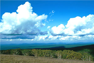 20100726185434_9082.jpg