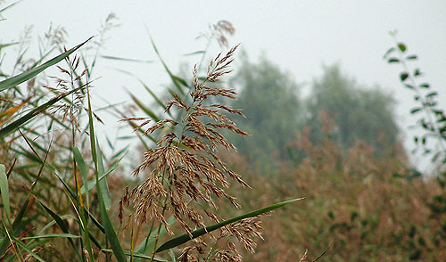 20100909124735_3373.jpg