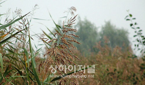 가을의 정취 느낄 수 있는 공원