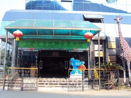20101119183904_6826.jpg