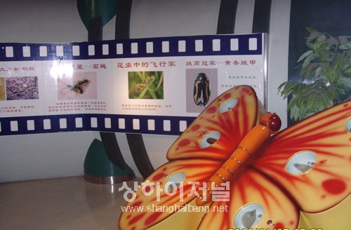 20101203174500_8663.jpg