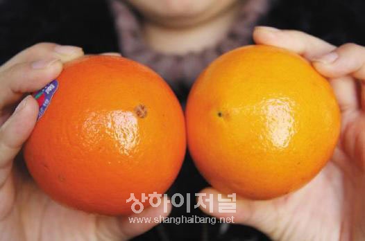 中 때깔좋은 오렌지 조심... 왁스칠한 과일 시중 유통