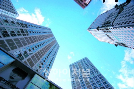 20101231153917_5928.jpg