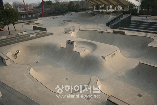 20110111095253_8308.jpg