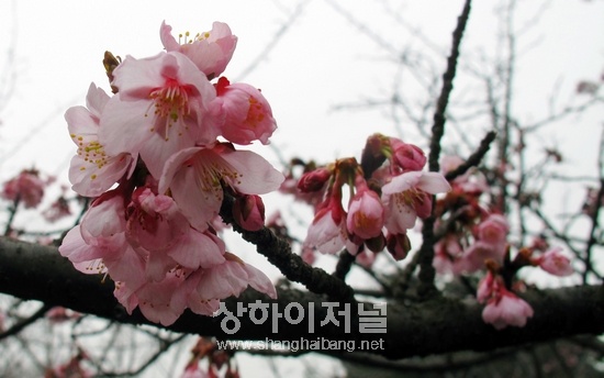 20110302124923_9637.jpg