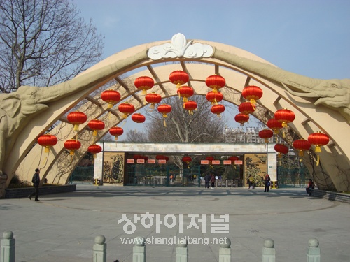20110315144813_2049.jpg