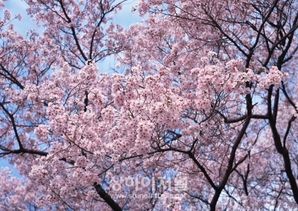 20110317183704_3860.jpg