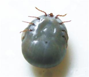 20110527114708_7934.jpg
