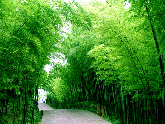 20110708153648_2315.jpg