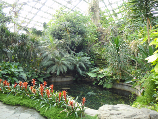20110713173041_6719.jpg