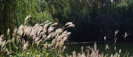 20111014152740_2733.jpg