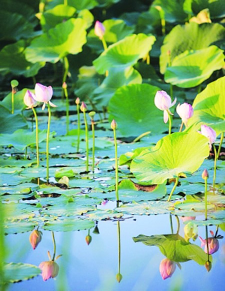 20111104174507_3529.jpg