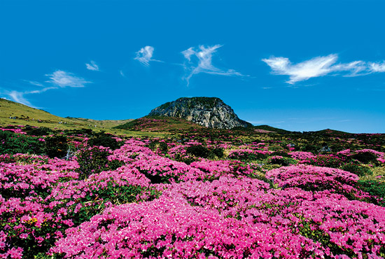 20111104210404_1029.jpg