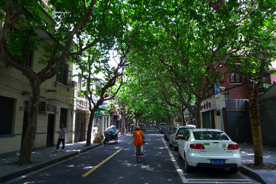20120210220054_6348.jpg