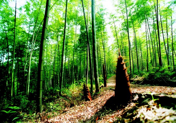 20120323183826_9166.jpg