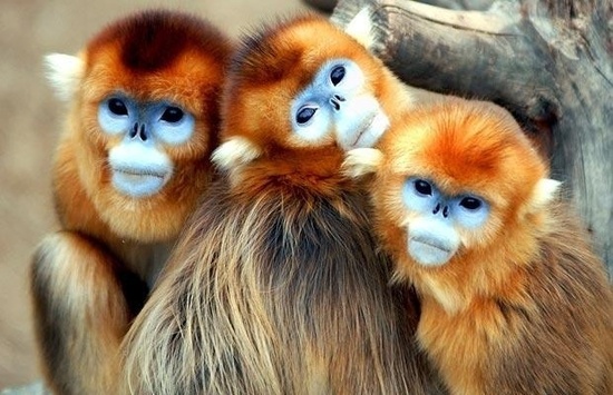 20120413104422_4418.jpg