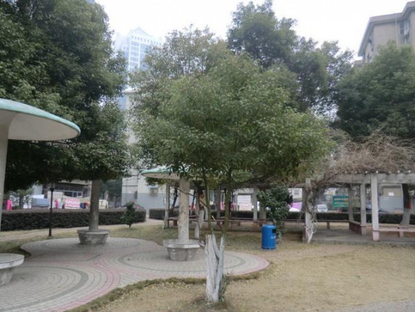 中, 한인 독거 남성 사망