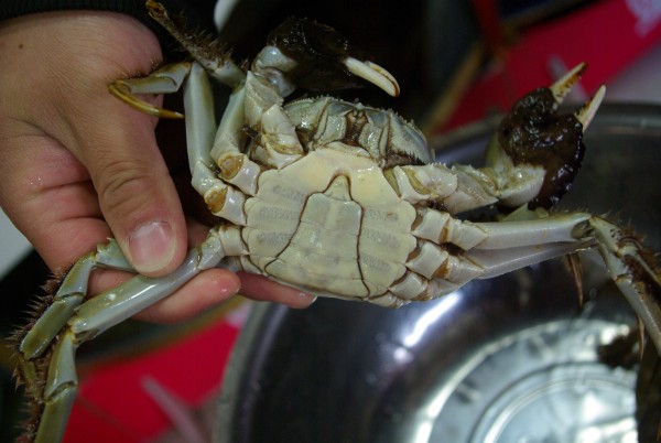 20121019180616_5277.jpg