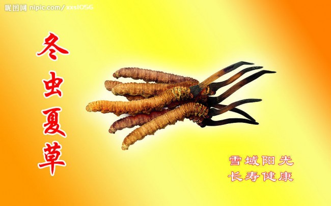 20121024153634_8230.jpg