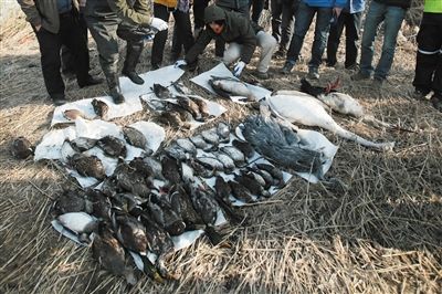 20121120162513_9473.jpg