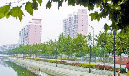 20121217151530_4971.jpg