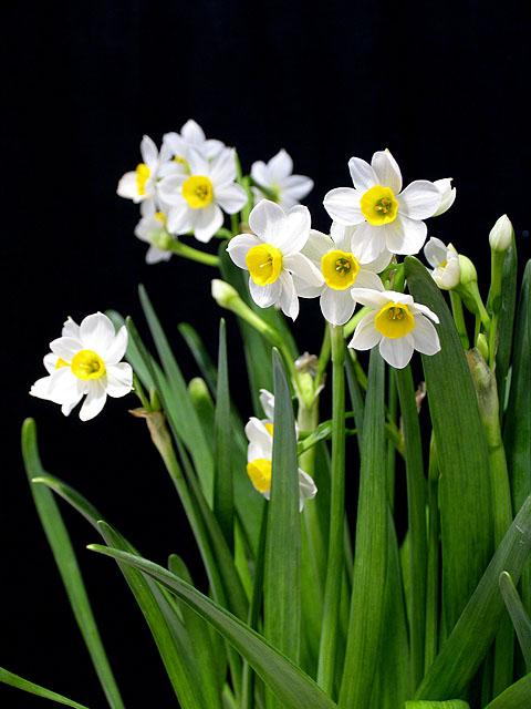 20130228163728_4111.jpg