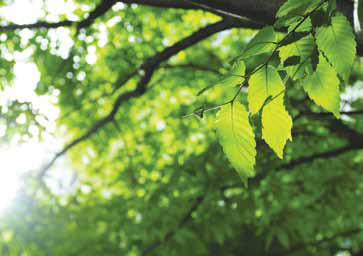 20130313130033_4959.jpg
