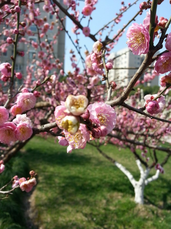 20130322223611_3876.jpg
