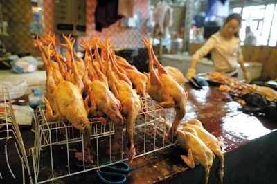 中 H7N9 감염자 21명으로 증가, 6명 사망