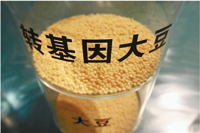 20130614154553_2304.jpg