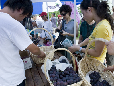 20130702174947_6911.jpg