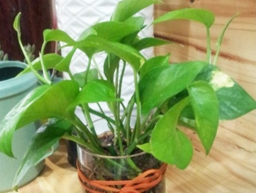 20130711185123_3214.jpg
