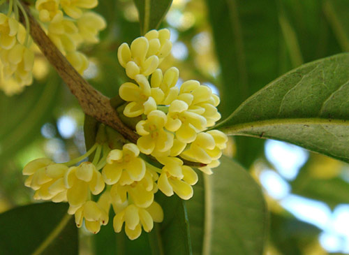20130917154021_9183.jpg