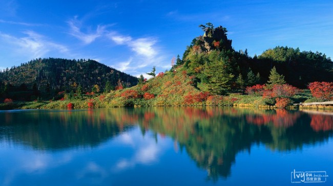 20131023114526_7411.jpg