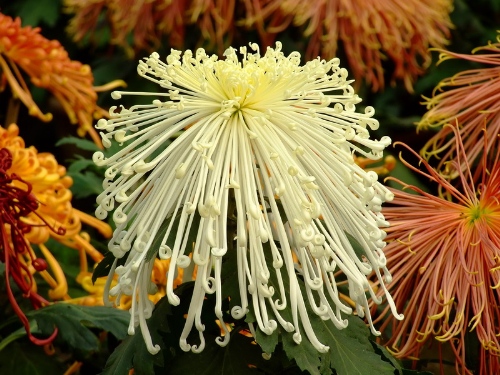 20131031113257_8634.jpg