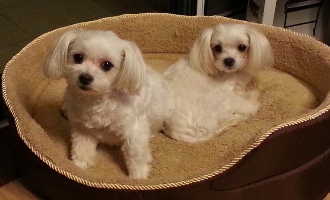 20131211175725_2687.jpg