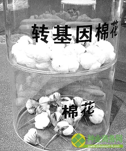 20140214161504_8198.jpg