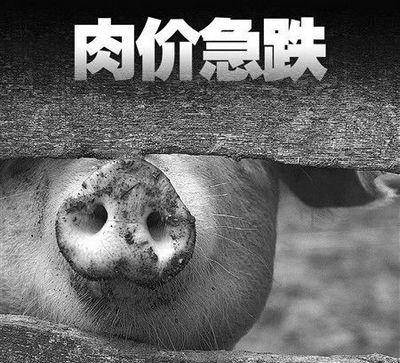 20140311115009_9057.jpg