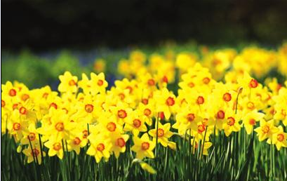 20140313192353_2170.jpg