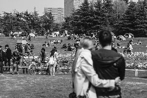 20140408161609_4000.jpg