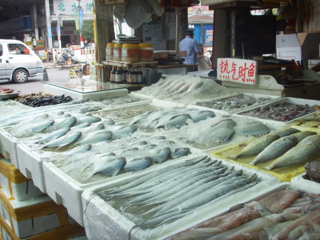 20140923122919_6407.jpg