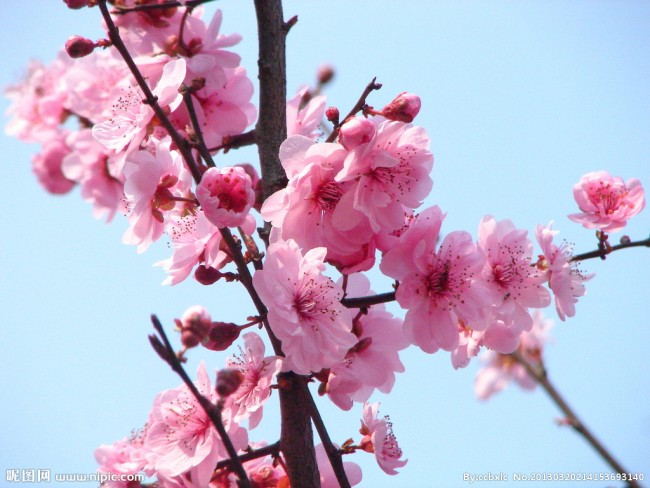 20150306151547_1364.jpg
