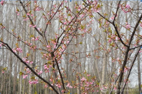 20150310161220_3733.jpg