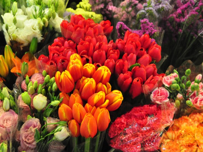 20150325192216_3458.jpg