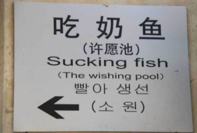 20150625154117_3903.jpg