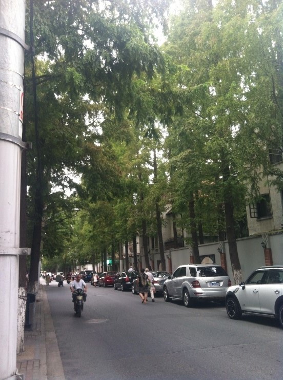 20151029174225_4200.jpg