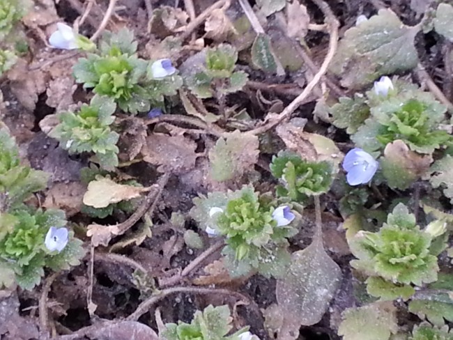 20160226155708_4484.jpg