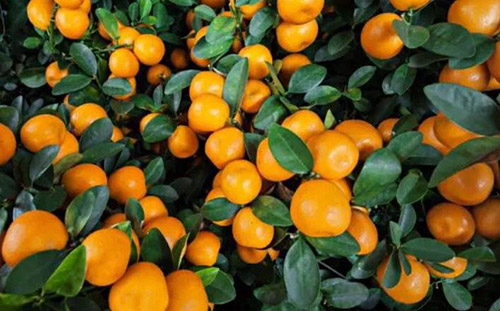 20161109163900_8851.jpg