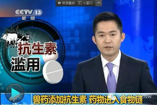 中 동물사료 항생제 '심각'... 누가 먹을까?