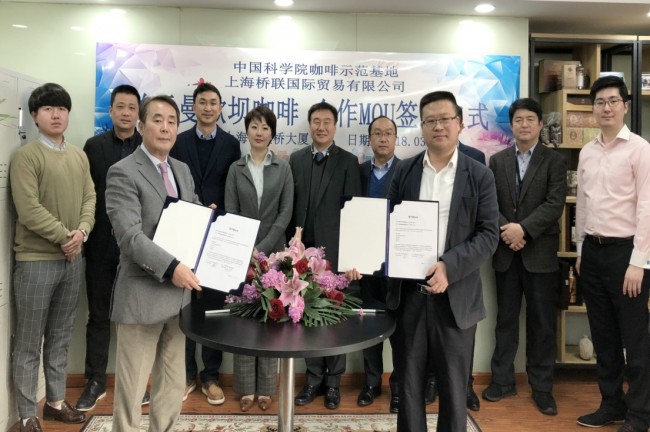 상하이교련무역, 윈난커피 유통에 나선다